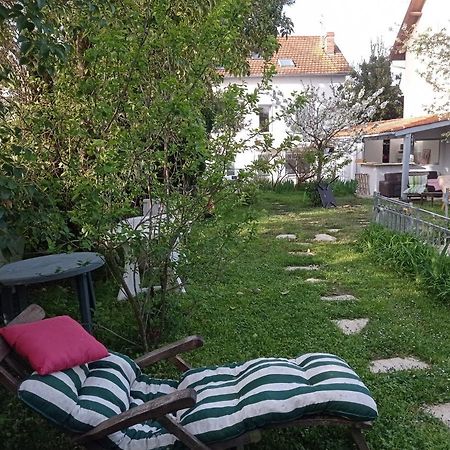 2 Chambres Et Salle De Bain Un Oasis De Bien Etre Piscine Et Jardin Direct Gare Aeroport Toulouse Luaran gambar