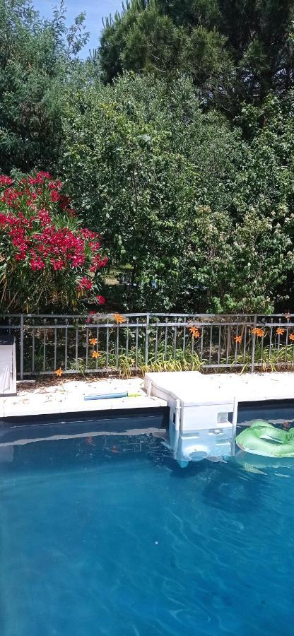 2 Chambres Et Salle De Bain Un Oasis De Bien Etre Piscine Et Jardin Direct Gare Aeroport Toulouse Luaran gambar