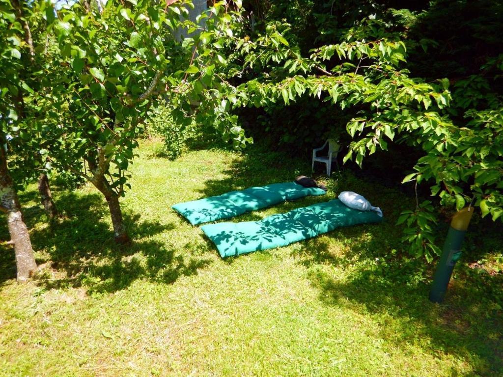 2 Chambres Et Salle De Bain Un Oasis De Bien Etre Piscine Et Jardin Direct Gare Aeroport Toulouse Luaran gambar